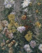 Gustave Caillebotte White and yellow chrysanthemum Sweden oil painting reproduction
